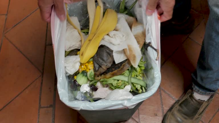 Best Yard Waste Removal  in Essexville, MI